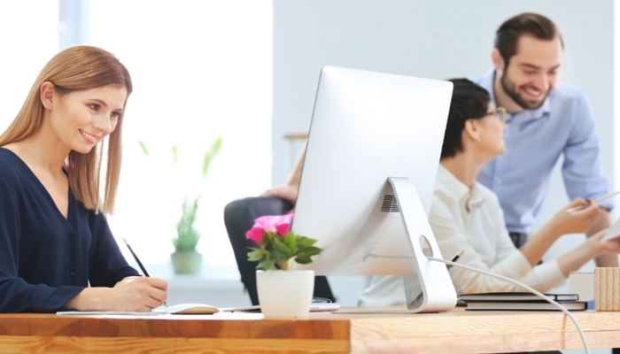 IT Consulting Services