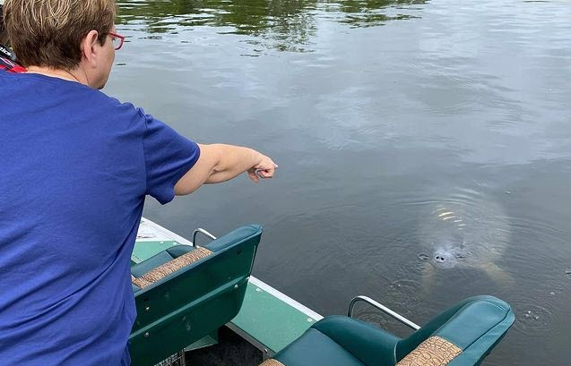 Private Airboat Rides