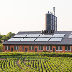 Farm and Ranch Insurance
