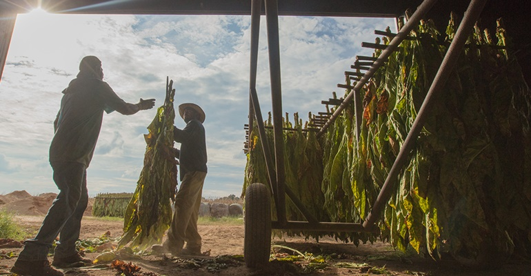 Reduce the Harm of Tobacco Products