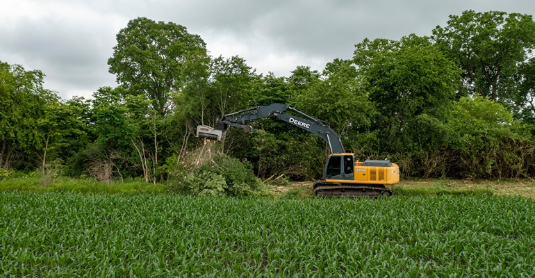 Tree Removal