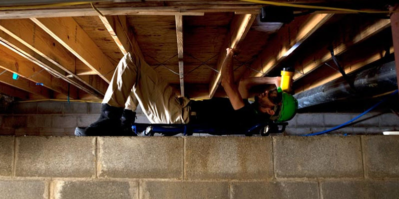 Mold Removal” vs. Mold Remediation