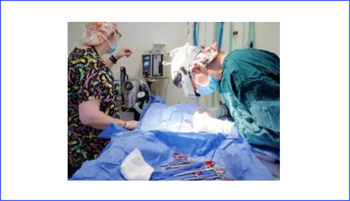Surgery