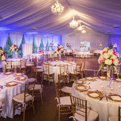 Plan An Event