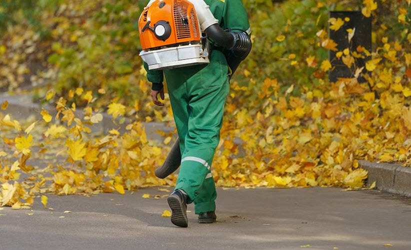 Grounds Maintenance