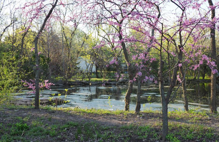 Nearby Attractions