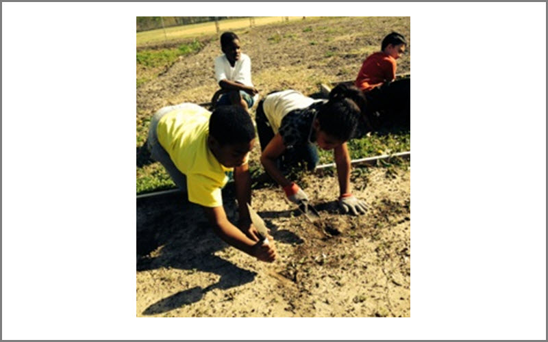 Community Garden