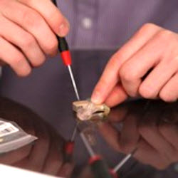 Hearing Aid Repair Services