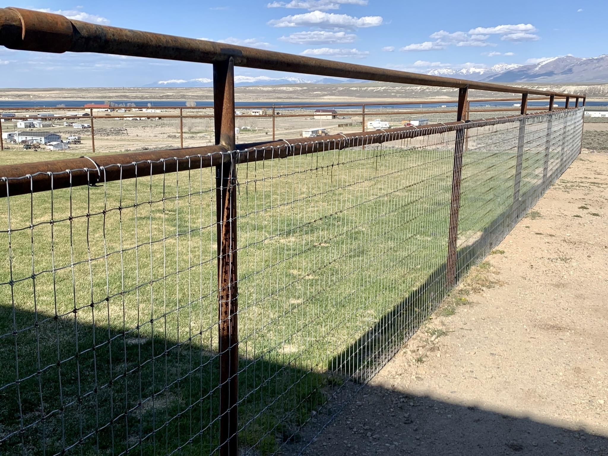 Chain Link Fence
