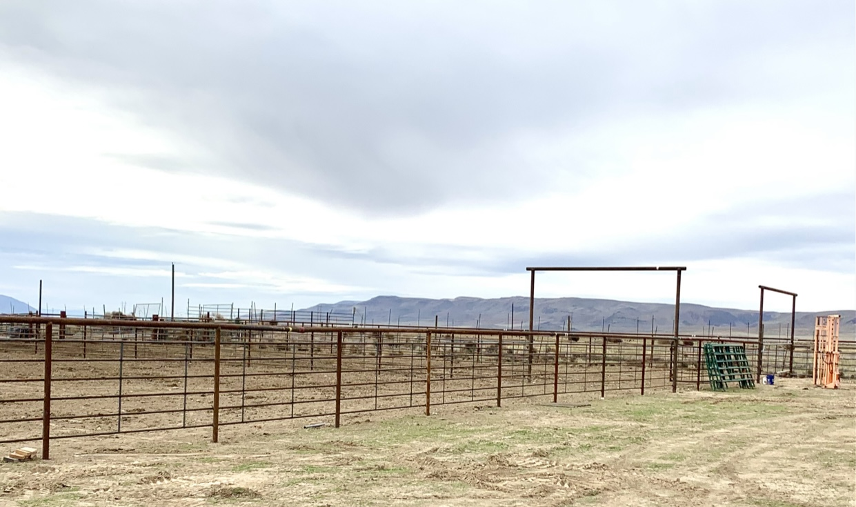 Wildlife Range Fences