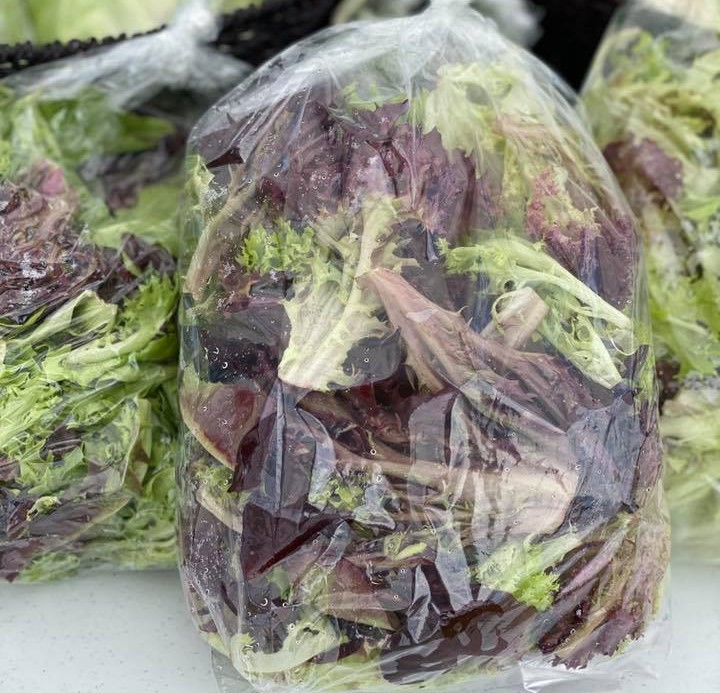 Salanova Salad Mix