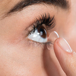 Contact Lens Fitting