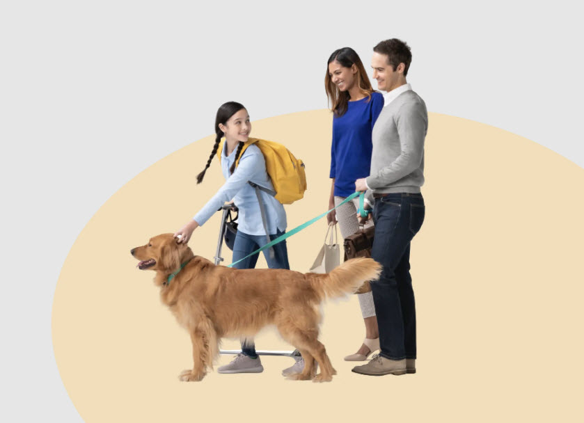 Pet Insurance