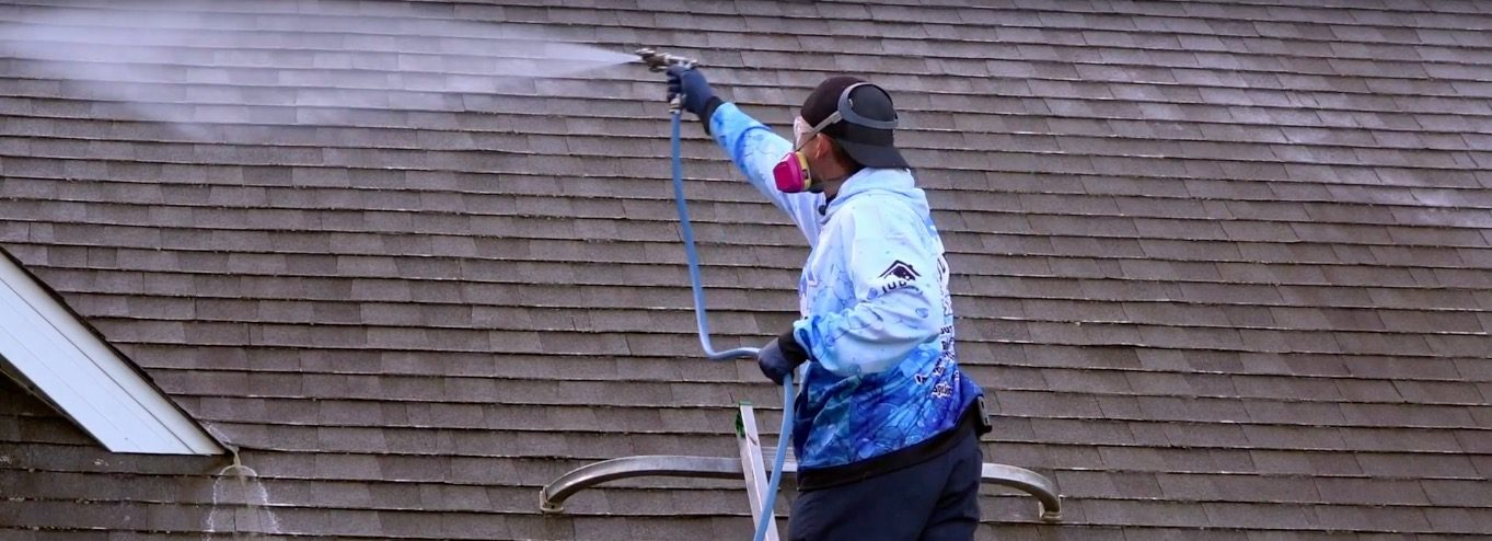 Roof Cleaning