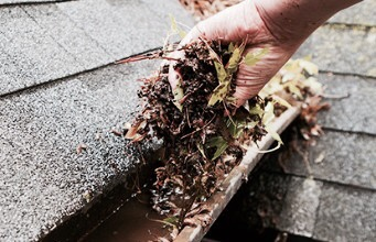 Gutter Cleaning