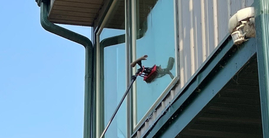 Window Cleaning