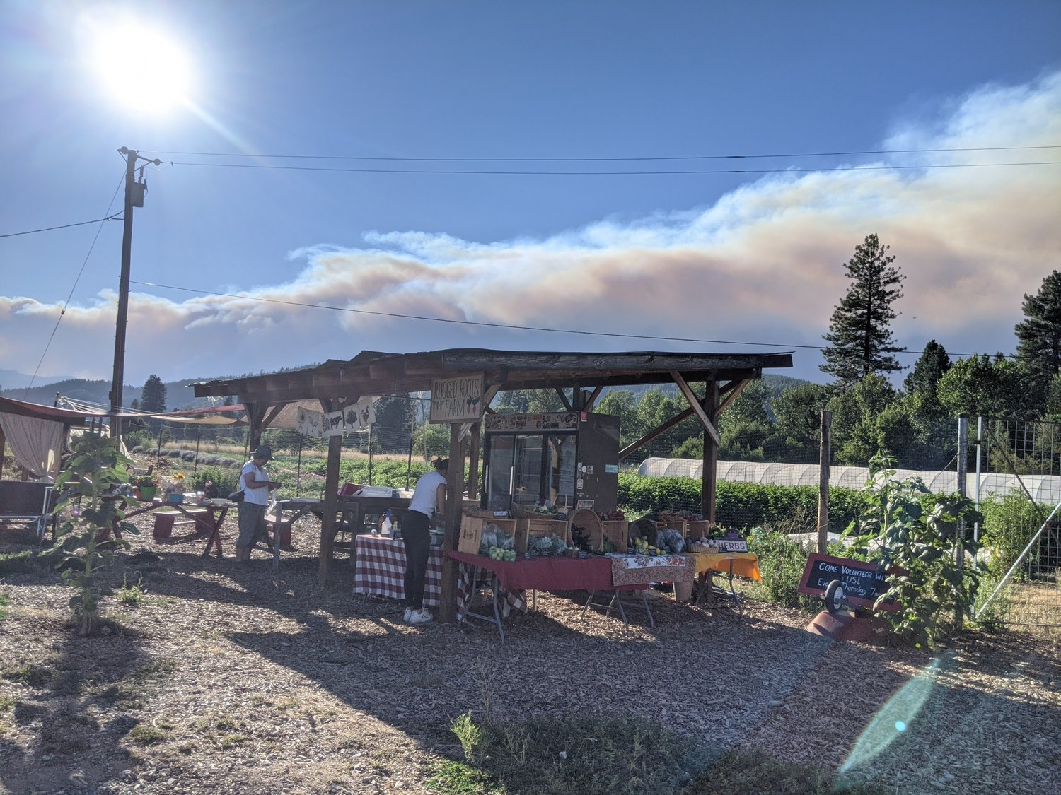 Farm Stand