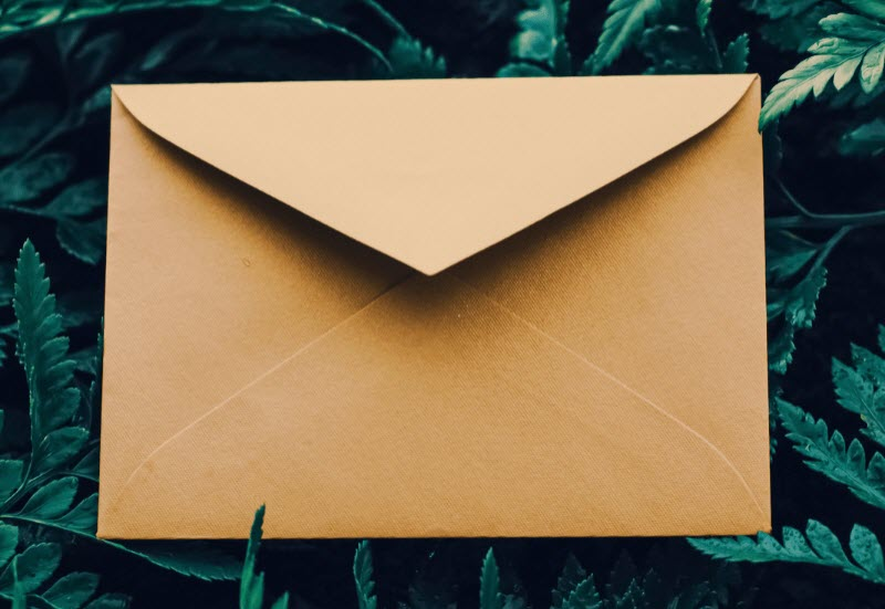 Newsletters