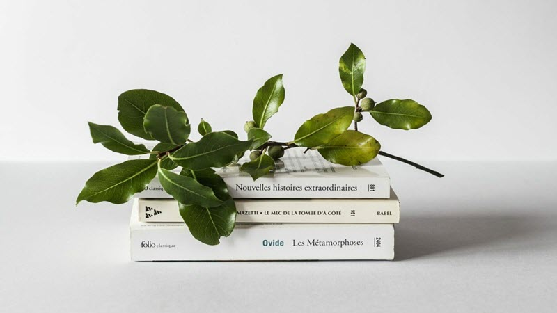 Book Club