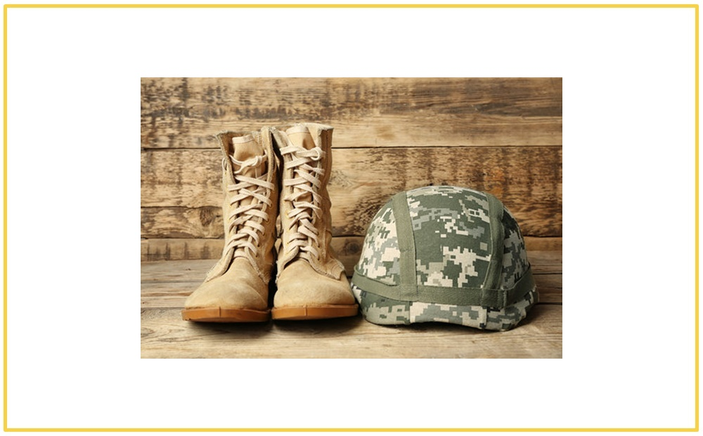 Military Professionals and Veterans