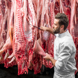 Butcher Shop