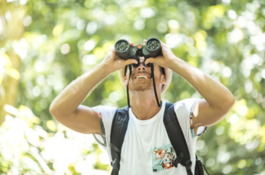 LOCAL BIRDING AREAS