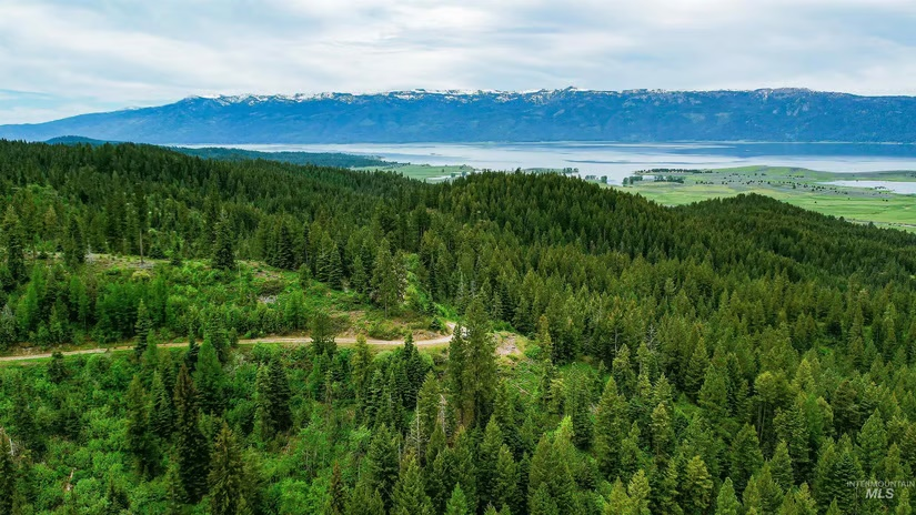 Land Property