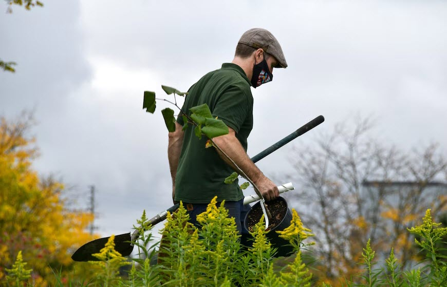 Planting