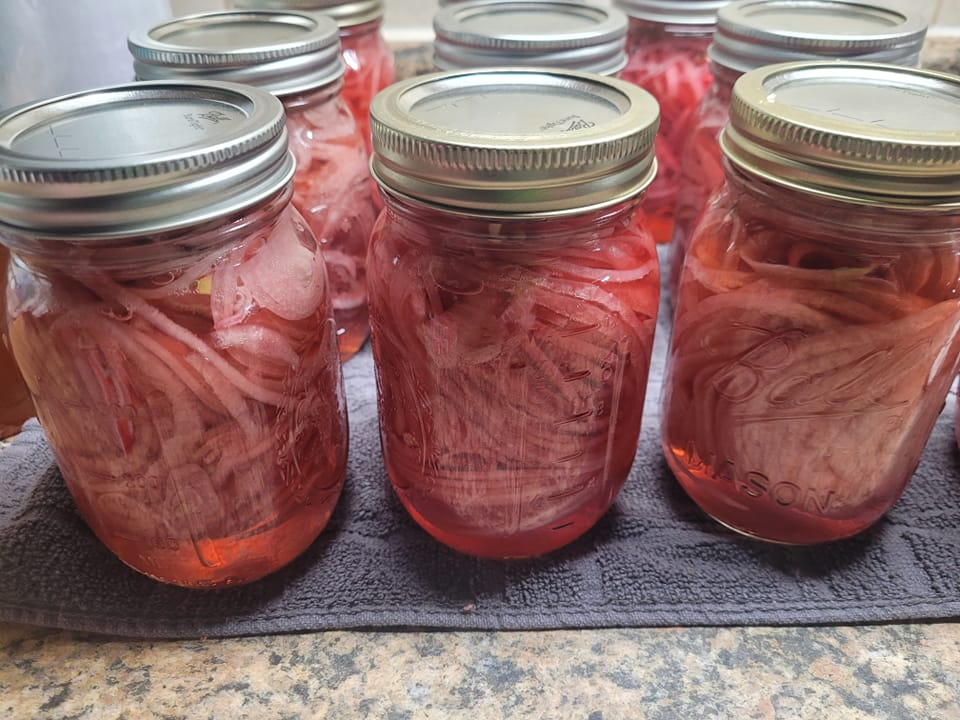 Pickled Red Onions and Aspargus