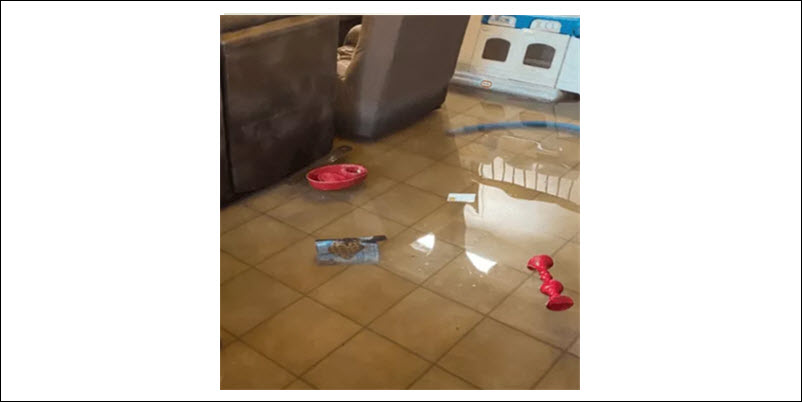 Flooded Basement Restoration and Cleanup