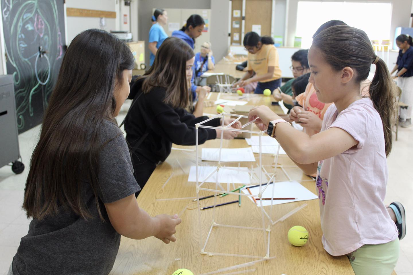 Science Fair Project Guide