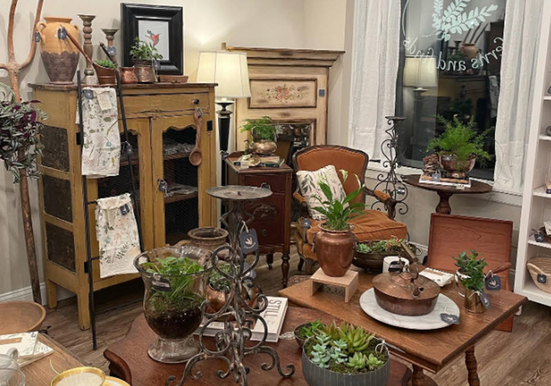 Potted Plants