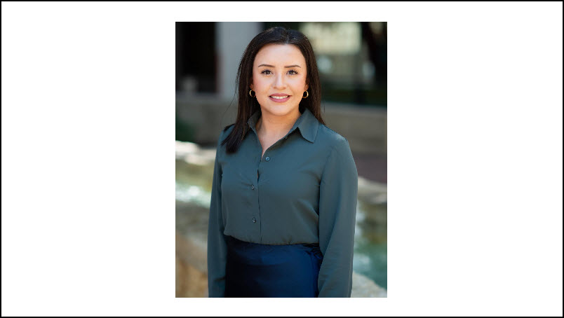 Insurance Agent