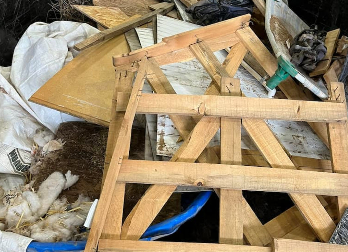  Hoarding Cleanout