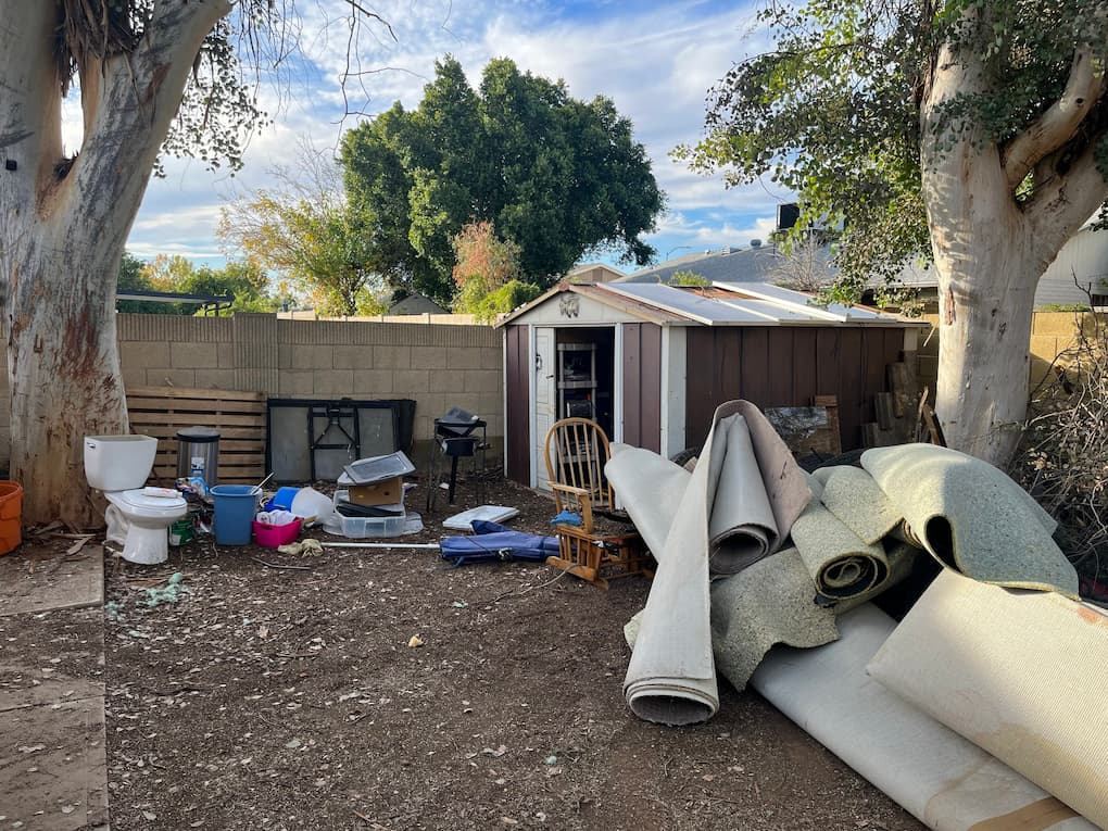 Shed Removal