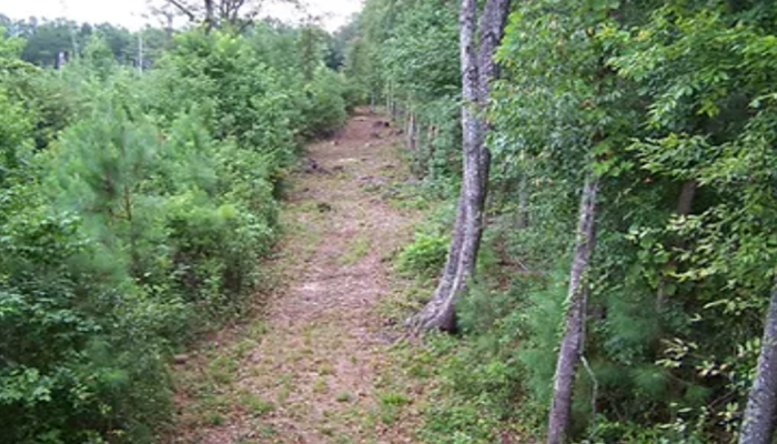  Lane Cutting