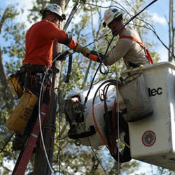 Site Location Services