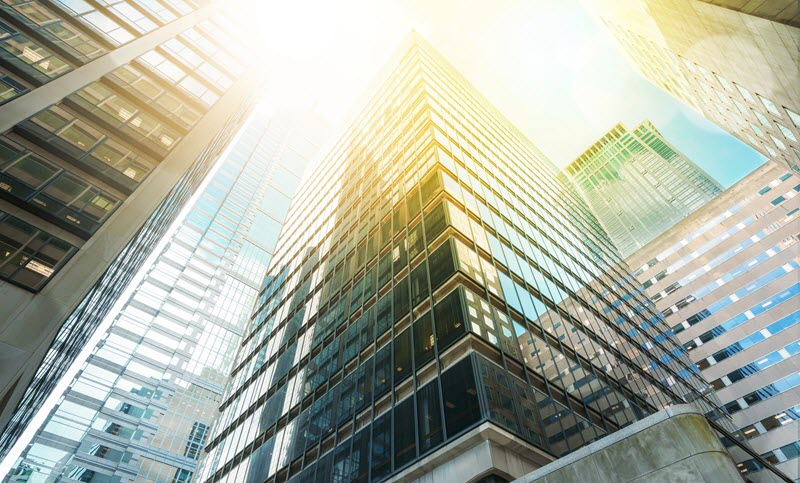 Business & Individual Tax