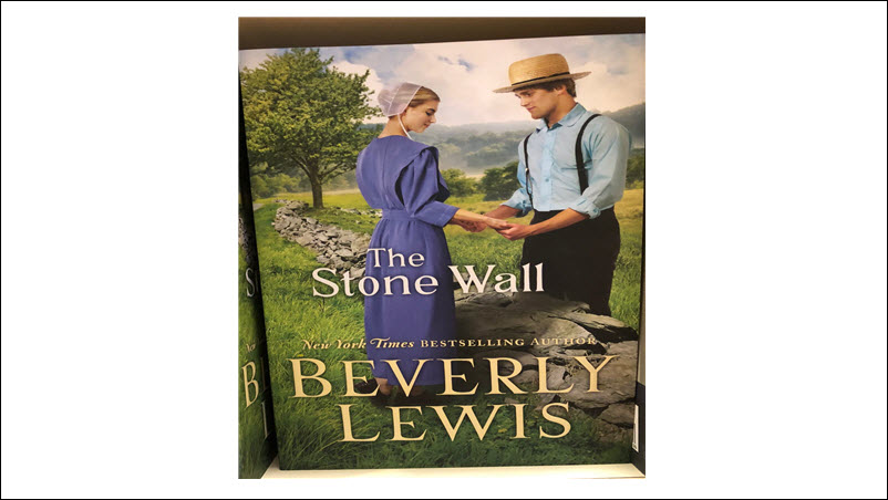 Beverly Lewis’s The Stone Wall