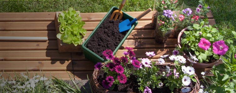 Gardening