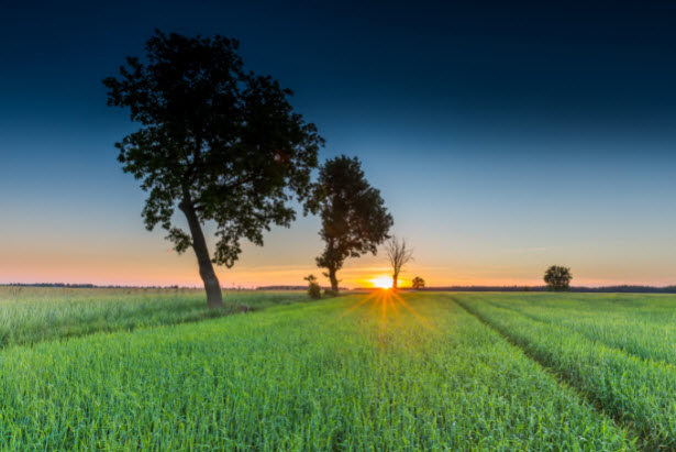 Agricultural