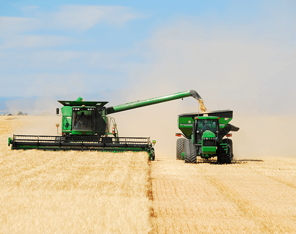 Crop Production
