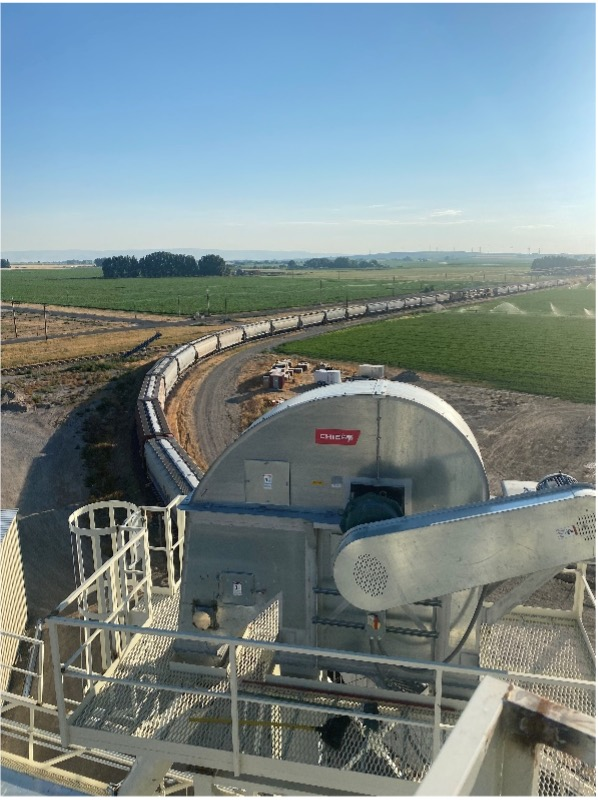 Quality Feed Supplier