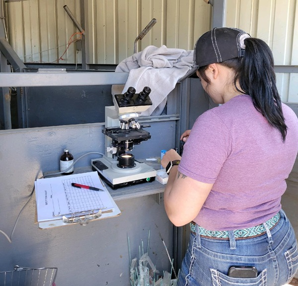 On-Ranch Research 