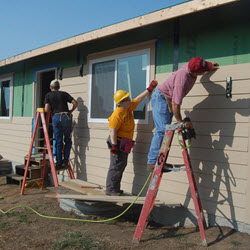 Volunteer