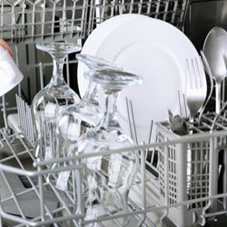 Dishwasher & Garbage Diposal