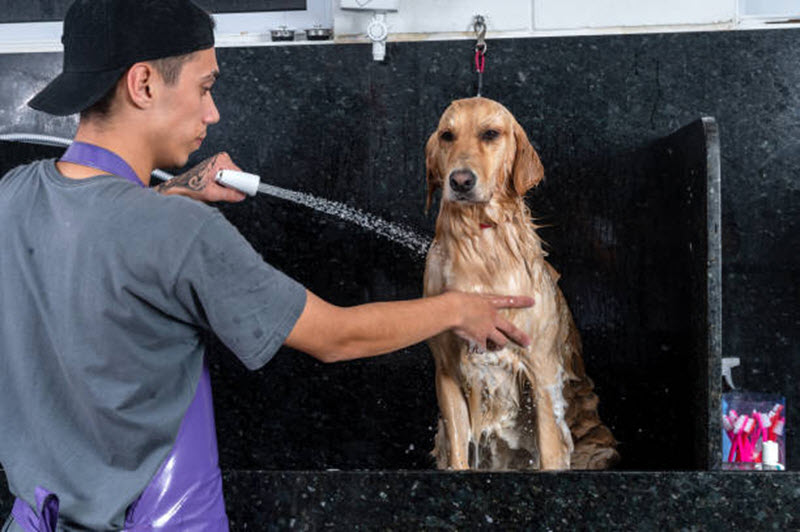 Bathing