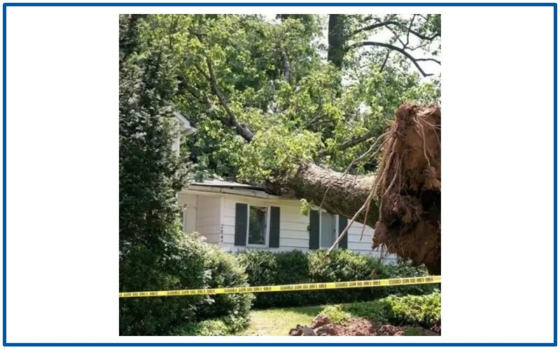 Storm Damage