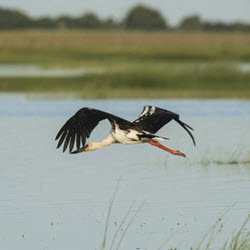 Wetland Conservation Program