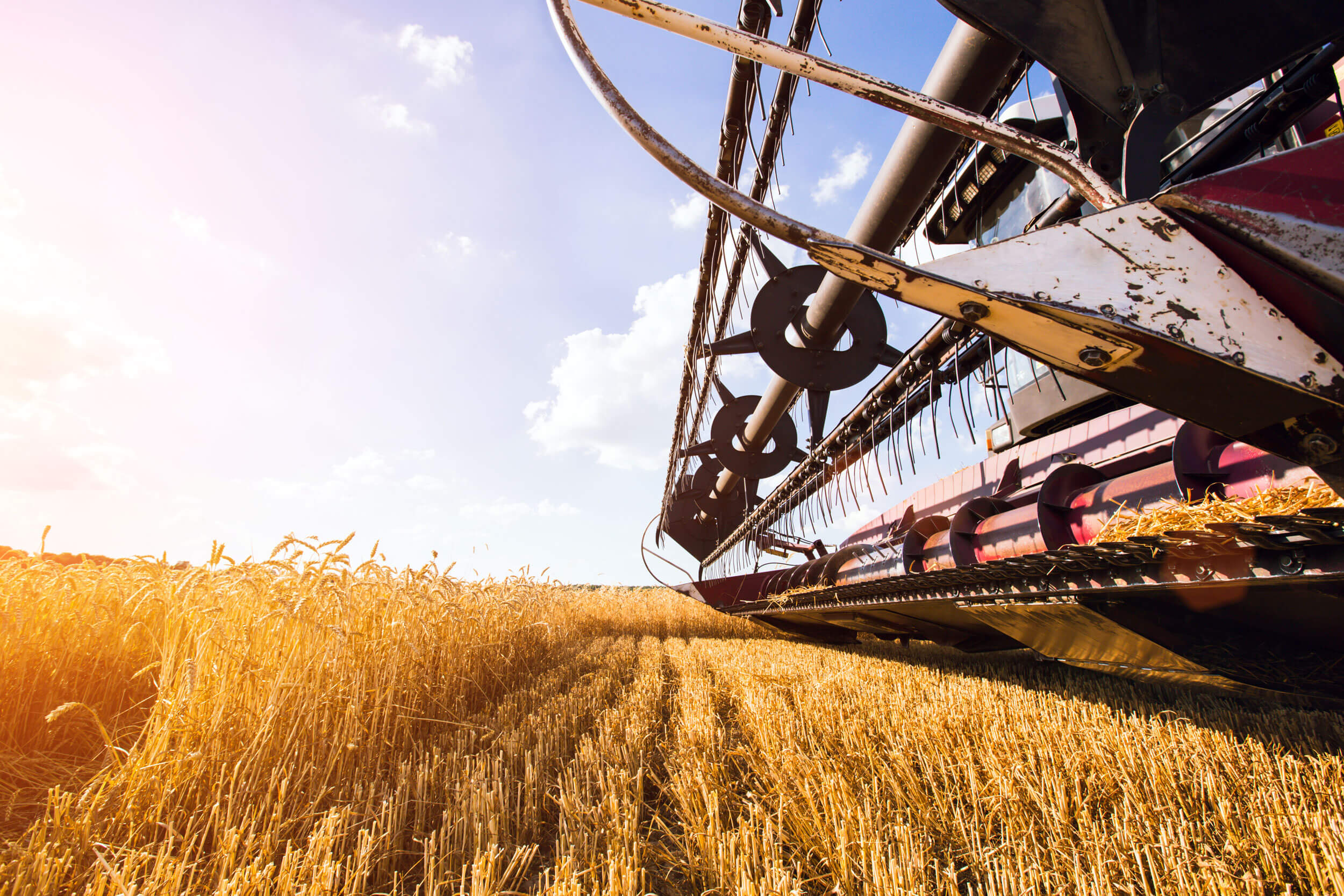 Farm and Crop Insurance